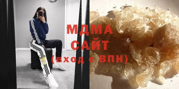 PSILOCYBIN Алзамай