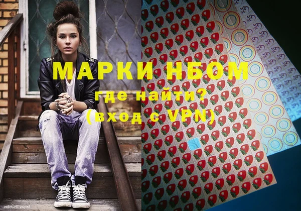 PSILOCYBIN Алзамай