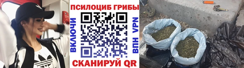 кракен как зайти что такое наркотик Гурьевск Галлюциногенные грибы Magic Shrooms