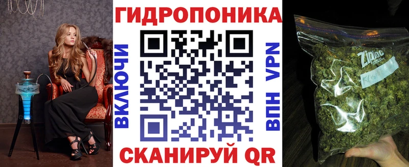 даркнет сайт  Гурьевск  Шишки марихуана марихуана 